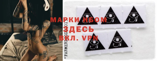 ПСИЛОЦИБИНОВЫЕ ГРИБЫ Вяземский