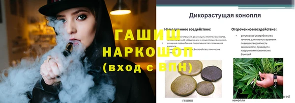ПСИЛОЦИБИНОВЫЕ ГРИБЫ Вяземский