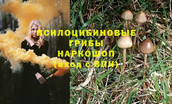прущий лед Володарск