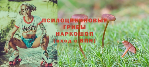 ПСИЛОЦИБИНОВЫЕ ГРИБЫ Вяземский